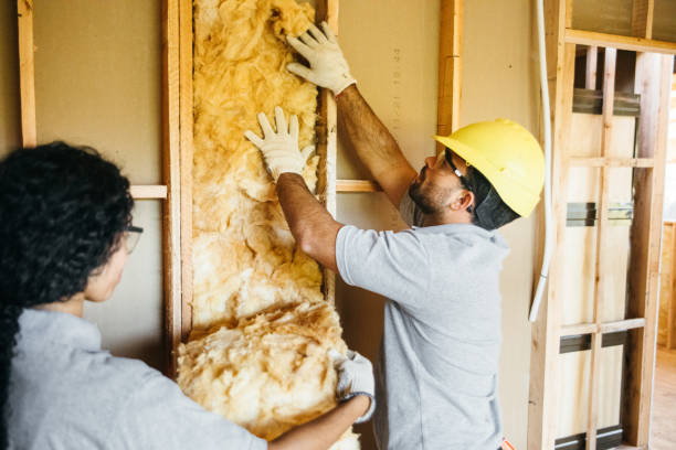 Best Basement Insulation  in Trinity, FL